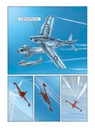 ANGEL WINGS - T7 - MIG MADNESS - 5