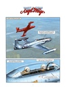 ANGEL WINGS - T7 - GRAND FORMAT - 4
