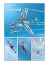 ANGEL WINGS - T7 - GRAND FORMAT - 5