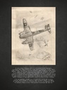 THE OLD TIGER - 1