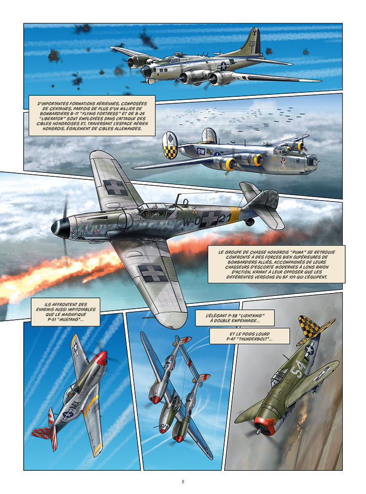 THE OLD TIGER - 6