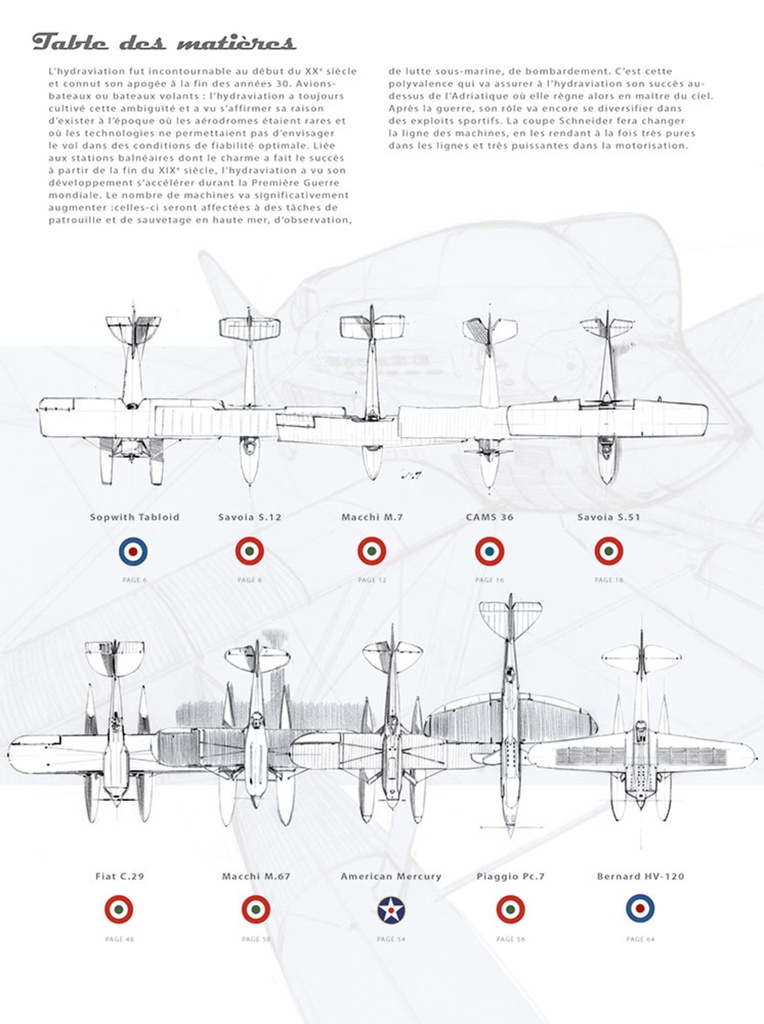 SPEEDBIRDS - T1 - SCHNEIDER TROPHY - 1