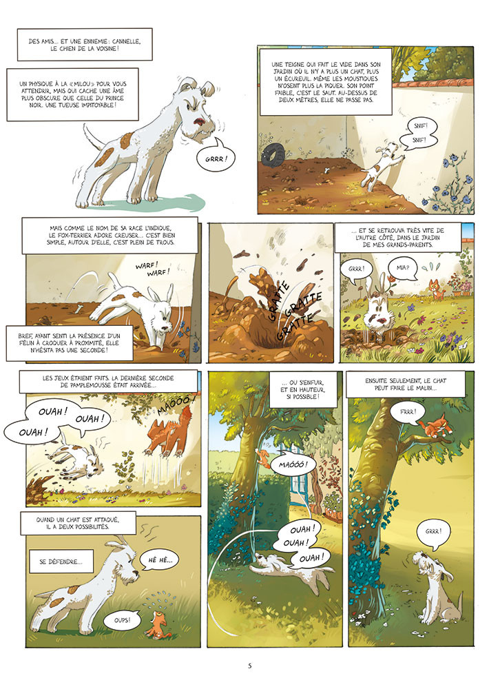 CHATS ! - T6 - CHATS ALORS ! - 3
