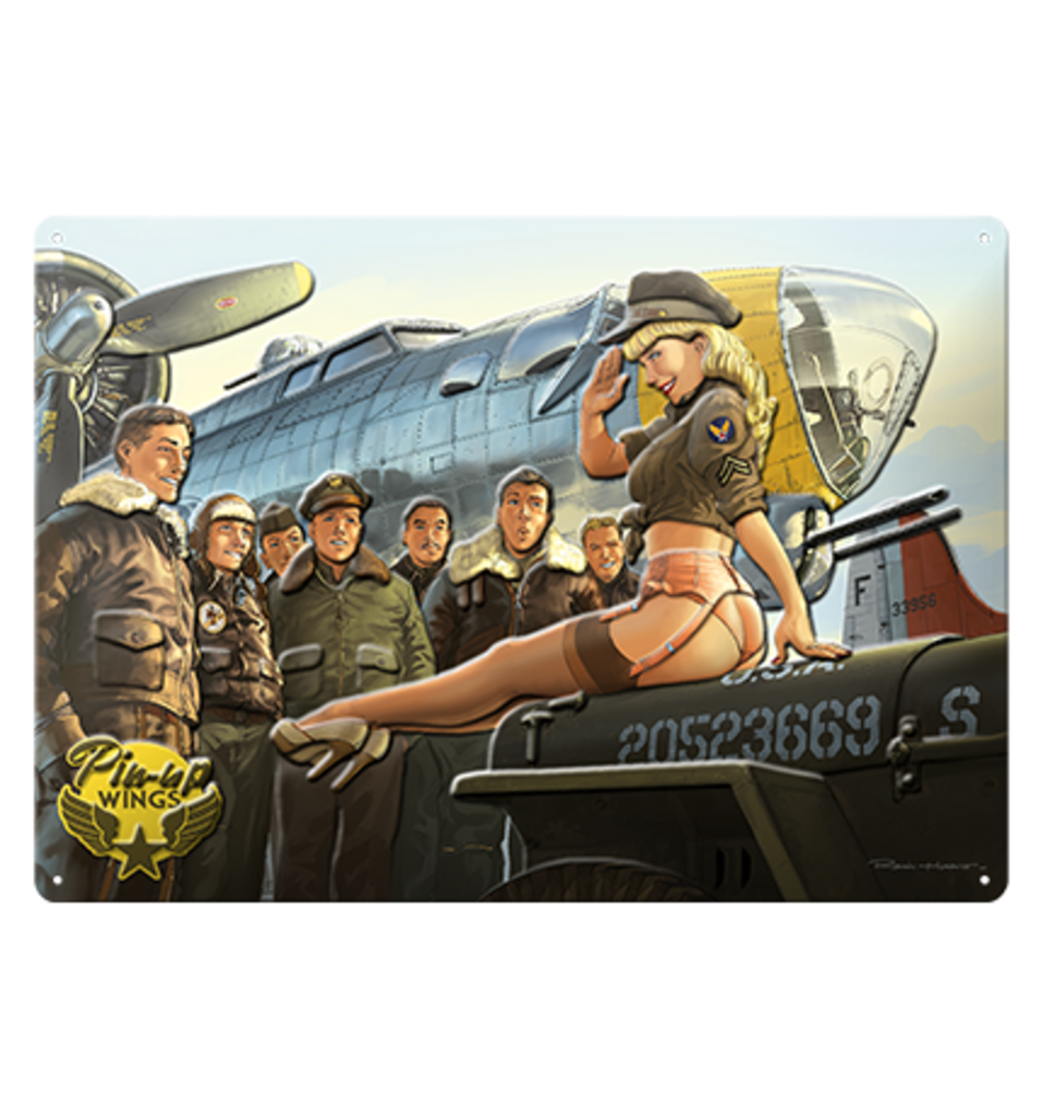 PLAQUE METALLIQUE - B17