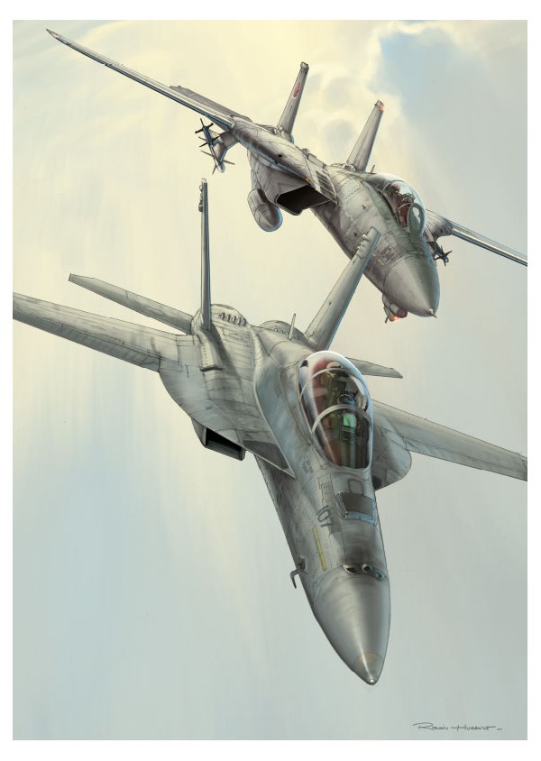 AFFICHE - TOP GUN - F-14 / F-18