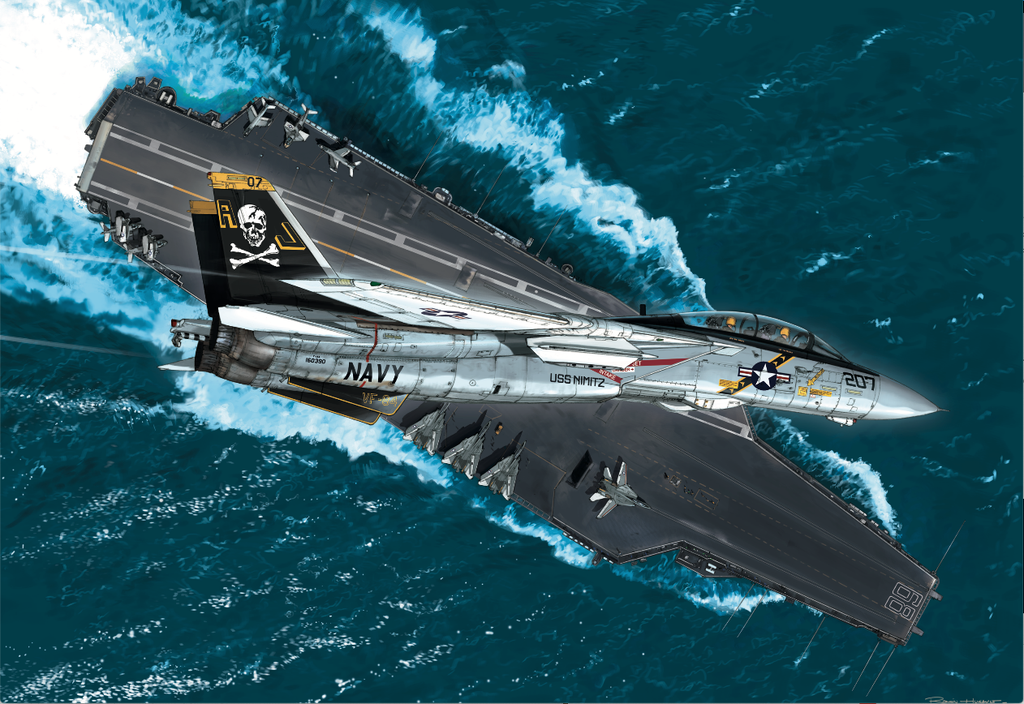 F-14 TOMCAT