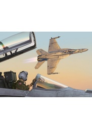[7640179725729] AFFICHE - TOP GUN - F-18
