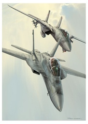 [7640179725712] AFFICHE - TOP GUN - F-14 / F-18