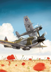 AFFICHE - SPITFIRE DUXFORD 2014 (avec texte)