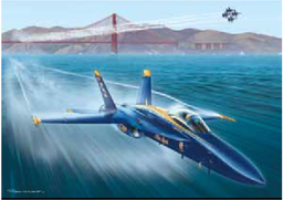 BLUE ANGELS