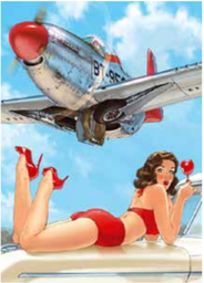 PIN UP WINGS 3 - 16