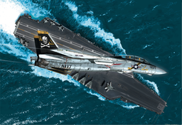 F-14 TOMCAT